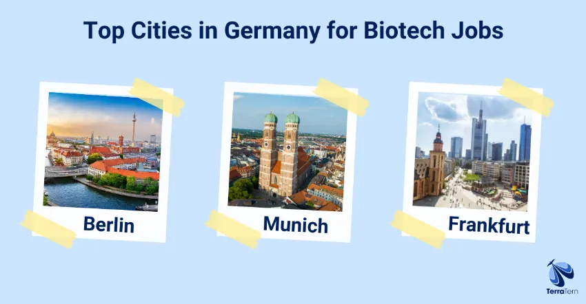 Top cities in Germany for Biotech jobs