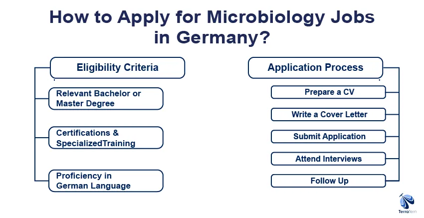 How to Apply for Microbiology Jobs in Germany