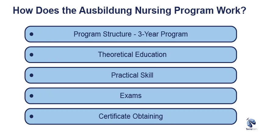 How Does The Ausbildung Nursing Programme Work?