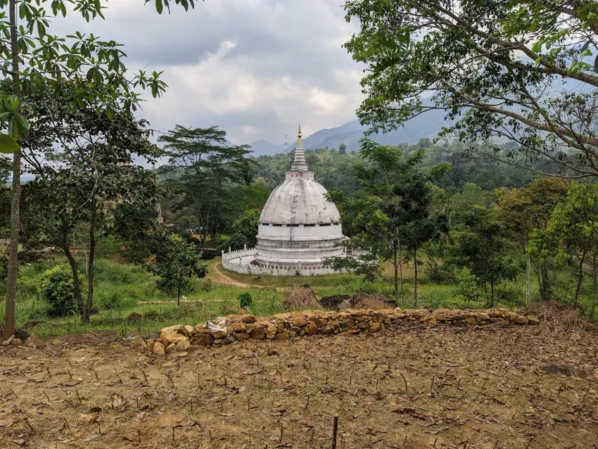 a landscape in Srilanka